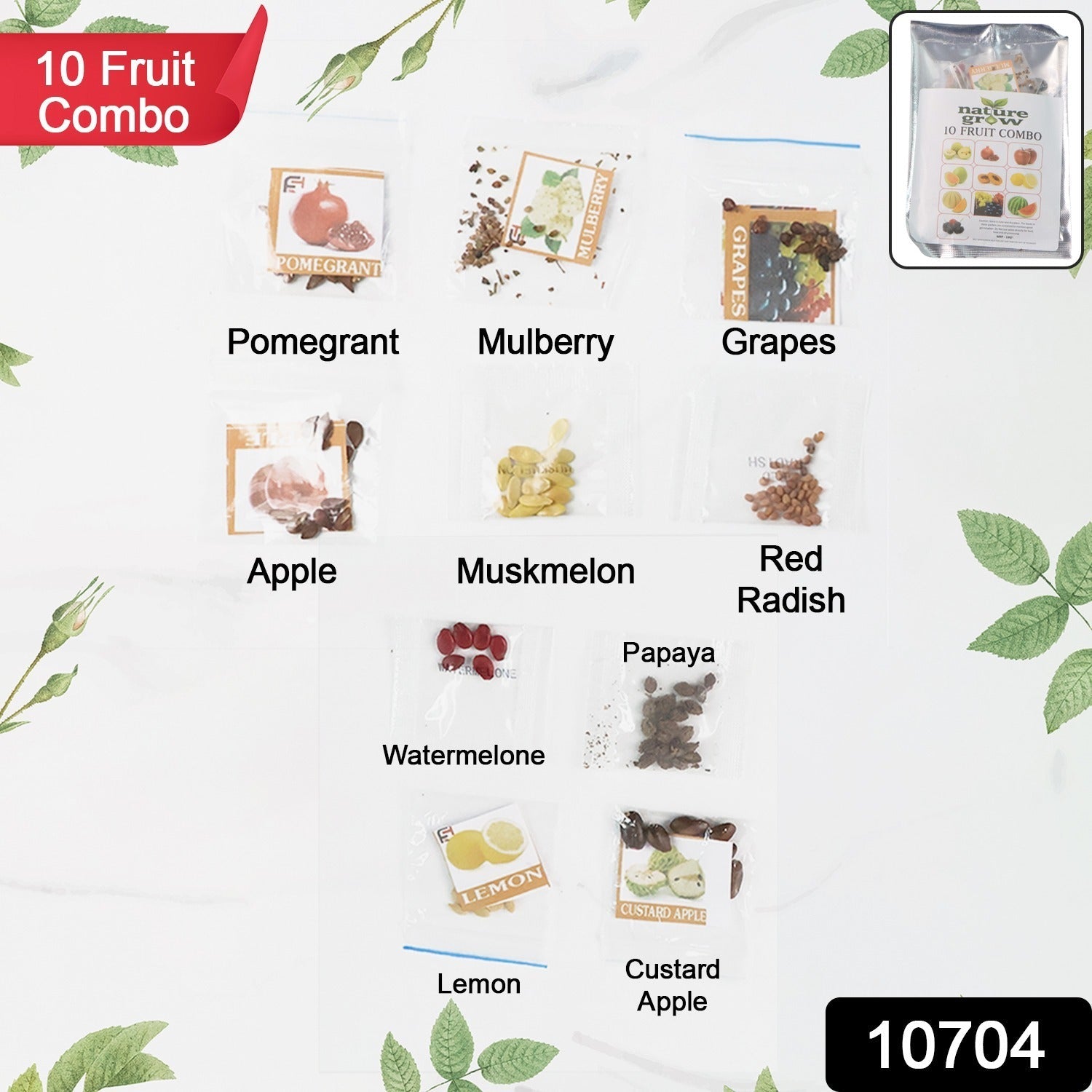 Fruit Seed Collection Fruit Seed Collection